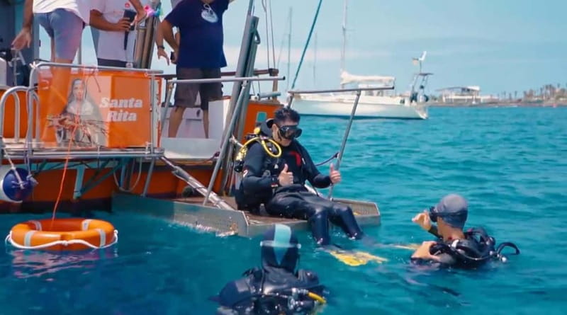 3H Shared Barrier-Free Cruise with Turtles Dolphins & Whales - Key points to know before booking