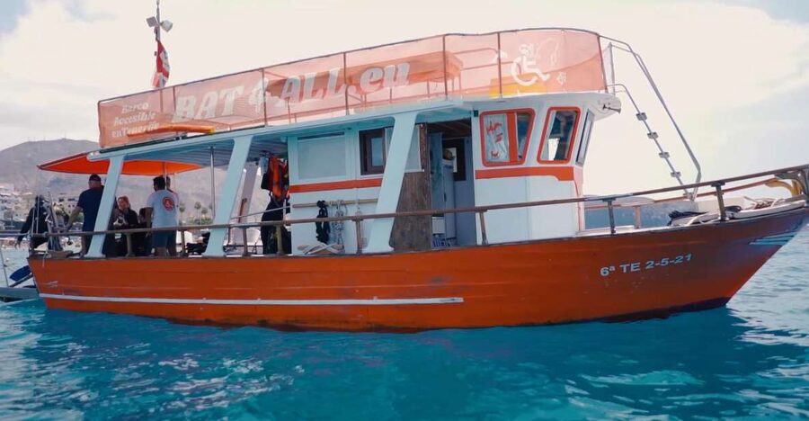 3H Shared Barrier-Free Cruise with Turtles Dolphins & Whales - Food, drinks, and the relaxed deck setup