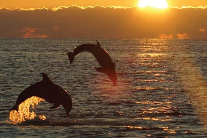 3hours all inclusive Sunset&Dolphin Tour from Medulin on Sandra - Quick points to know