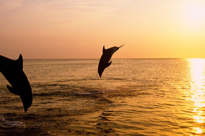 3hours all inclusive Sunset&Dolphin Tour from Medulin on Sandra - Porer Lighthouse and the sunset