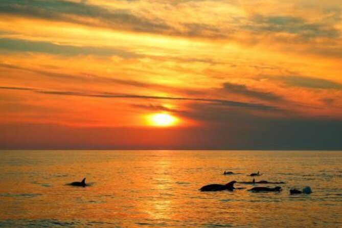 3hours all inclusive Sunset&Dolphin Tour from Medulin on Sandra - Who will enjoy this Medulin boat trip?