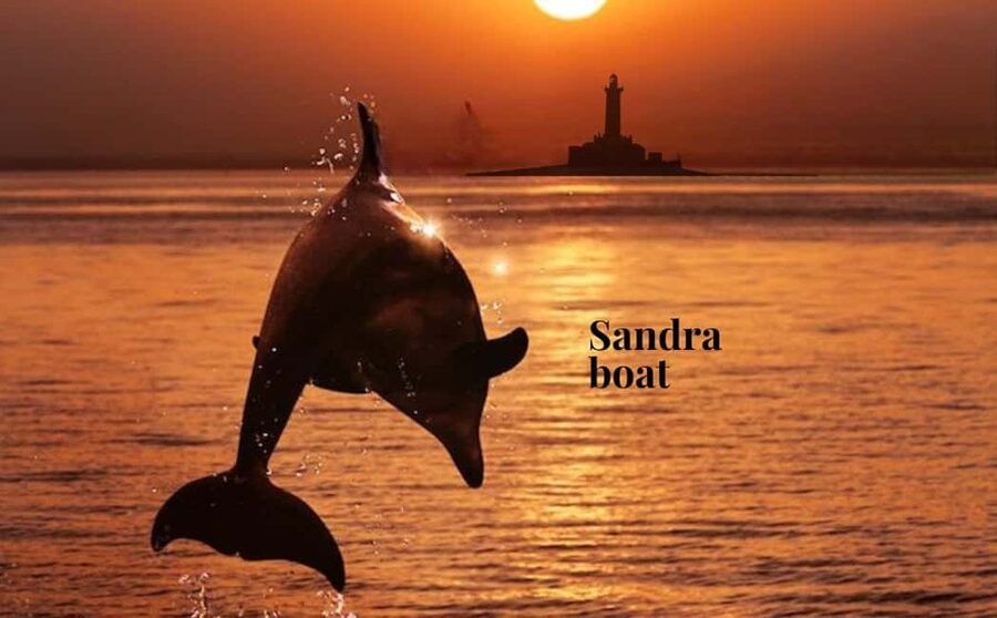3hours Dolphin Sunset watching with unlimited drinks +dinner - Cape Kamenjak from the water