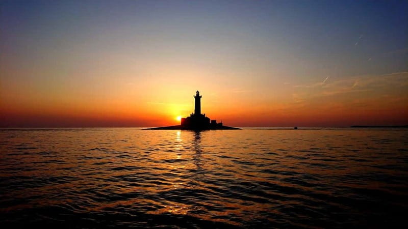 3hours Dolphin Sunset watching with unlimited drinks +dinner - Watching for dolphins at sunset