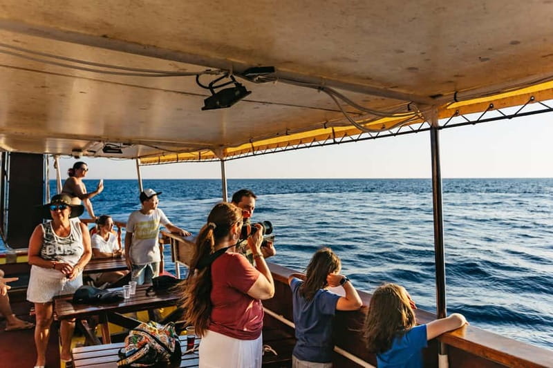 3hours Dolphin Sunset watching with unlimited drinks +dinner - Music, crew, and the social side