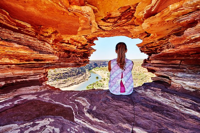 4-Day Monkey Mia Dolphins Pink Lake Pinnacles Comfort-Level Tour - Day three: Monkey Mia dolphins and the Shark Bay coast