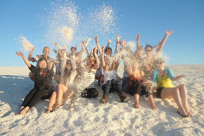 4-Day Monkey Mia Dolphins Pink Lake Pinnacles Comfort-Level Tour - Who will get the most from this tour