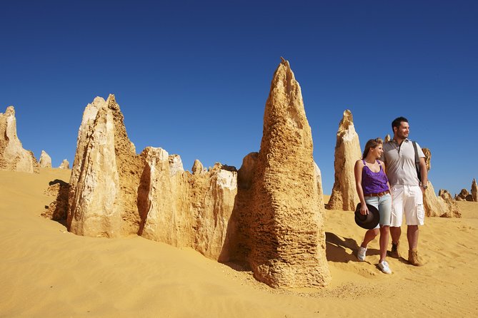 4-Day Monkey Mia Dolphins Pink Lake Pinnacles Comfort-Level Tour - Should you book the four-day Monkey Mia tour?