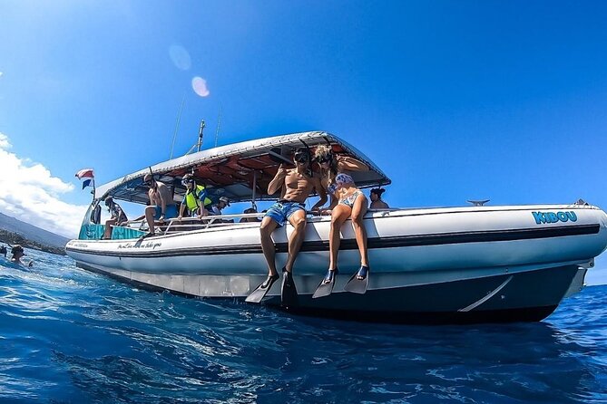 4 Hour Big Island Dolphin Watch Boat Tour, Snorkeling & BBQ Lunch - Kona’s coast by speedboat, with wildlife ahead
