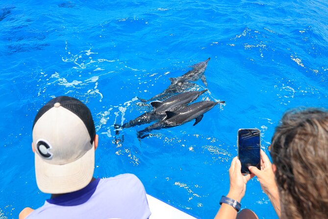 4 Hour Big Island Dolphin Watch Boat Tour, Snorkeling & BBQ Lunch - KIBOU’s practical comforts