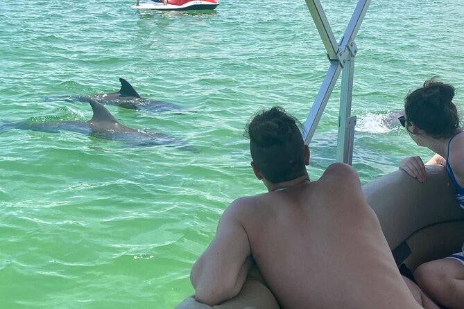 4 Hour Dolphin and Sandbar Cruise - What Captain Lauren adds to the day