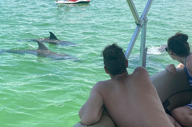 4 Hour Dolphin and Sandbar Cruise - How the $550 price works