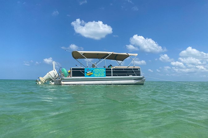 4 Hour Dolphin and Sandbar Cruise - Who will enjoy this most