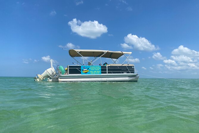 4 Hour Dolphin and Sandbar Cruise - Meeting Captain Lauren at 10:00 am