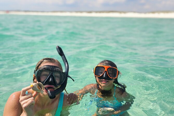 4 Hour Eco Dolphin Tour in Panama - Food, drinks, and the small comforts that matter