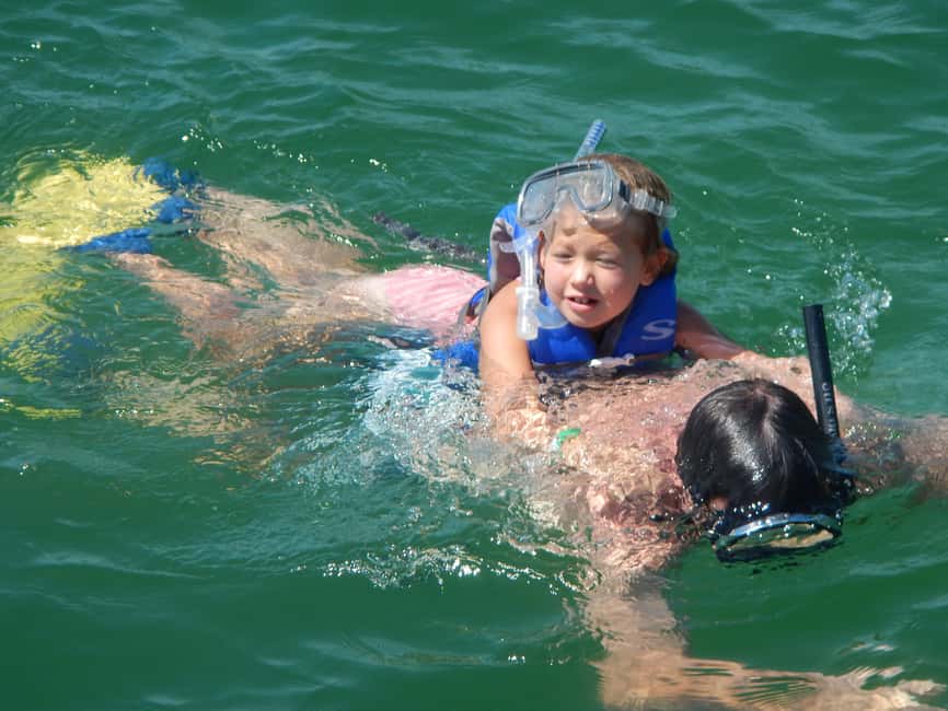 4 Hour Egmont Key Island Tour With Dolphins & Snorkeling - Beach Time for Swimmers, Shell Hunters, and Idlers