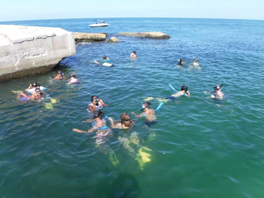 4 Hour Egmont Key Island Tour With Dolphins & Snorkeling - A Friendly Crew With a Clear Outdoor Focus