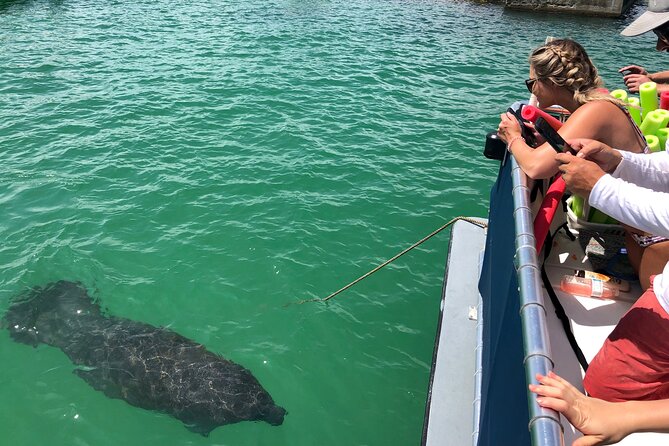 4 Hour Egmont Key Island Tour With Dolphins & Snorkeling Included - Why the four-hour length works