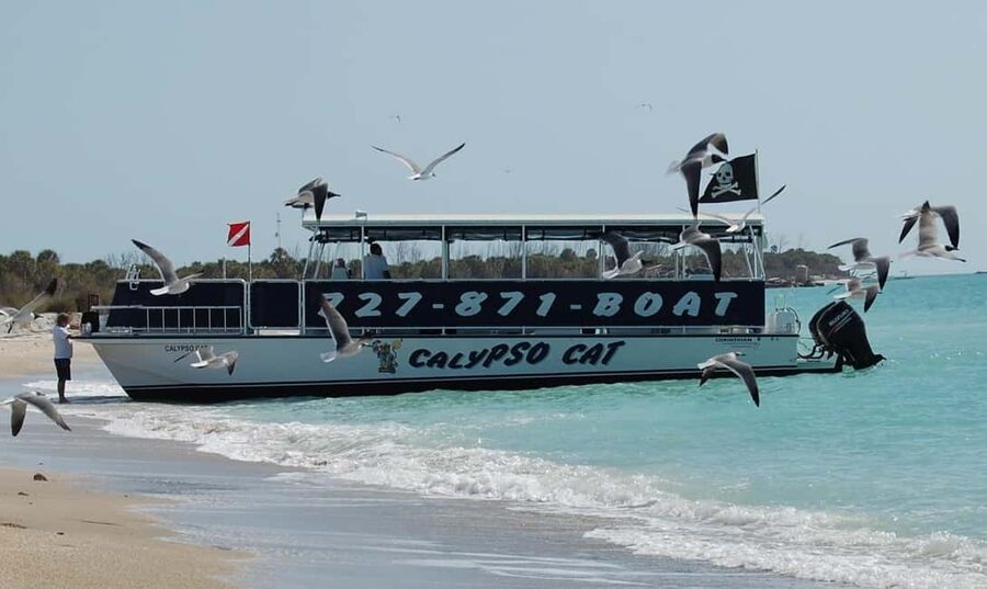 4 Hour Egmont Key Island Tour With Dolphins & Snorkeling - Snorkeling in the Gulf
