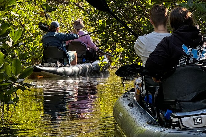 4-Hour Mangrove Island and Dolphin Watch Sandbar in Fort Pierce - What the four-hour Fort Pierce trip is really about