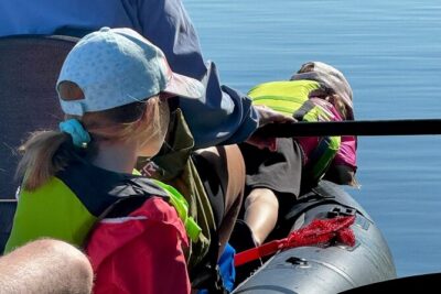 4-Hour Mangrove Island and Dolphin Watch Sandbar in Fort Pierce