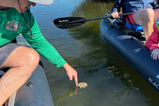 4-Hour Mangrove Island and Dolphin Watch Sandbar in Fort Pierce - A sandbar break for swimming, wading, or simply doing less