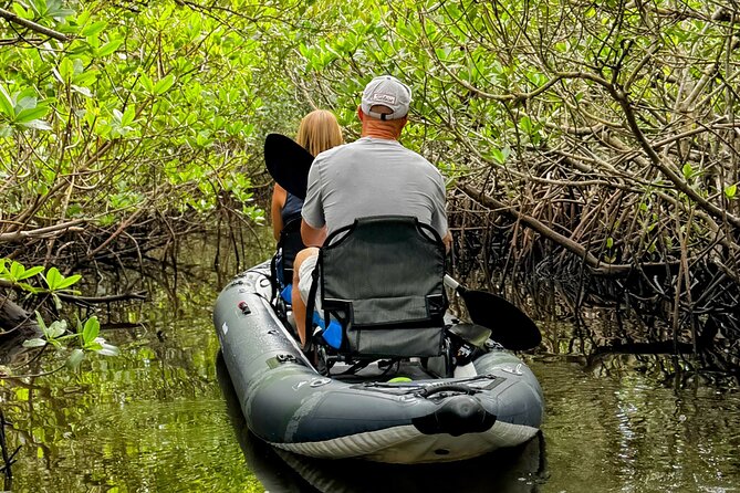 4-Hour Mangrove Island and Dolphin Watch Sandbar in Fort Pierce - Who will enjoy this most
