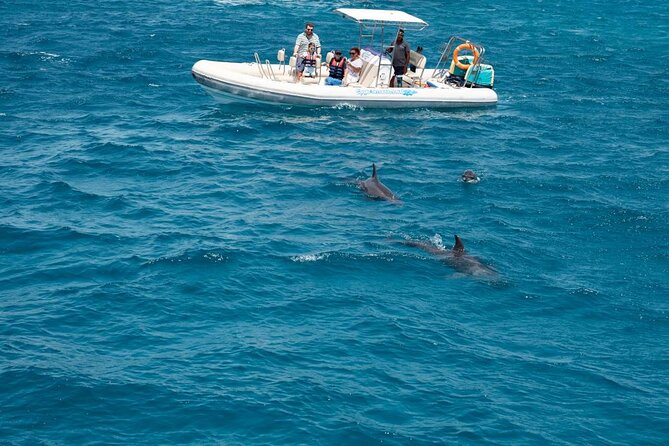 4-Hour Private Speedboat to See Dolphins from Hurghada - Key points to know before booking