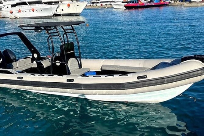 4-Hour Private Speedboat to See Dolphins from Hurghada - Searching for dolphins in their natural setting