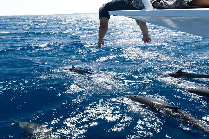 4-Hour Private Speedboat to See Dolphins from Hurghada - Timing, weather, and cancellation details