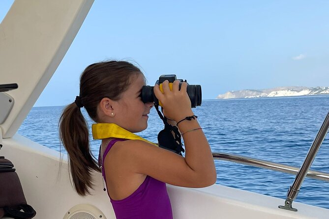 4 Hours Dolphin Watching Tour in Porto Empedocle - Key points to know before you book
