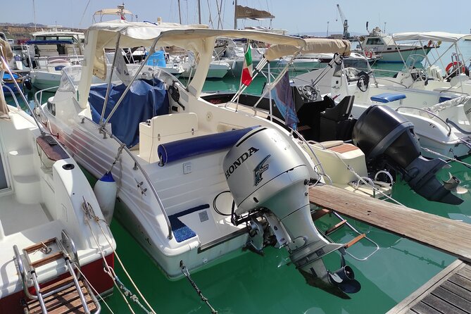 4 Hours Dolphin Watching Tour in Porto Empedocle - Practical planning for the morning