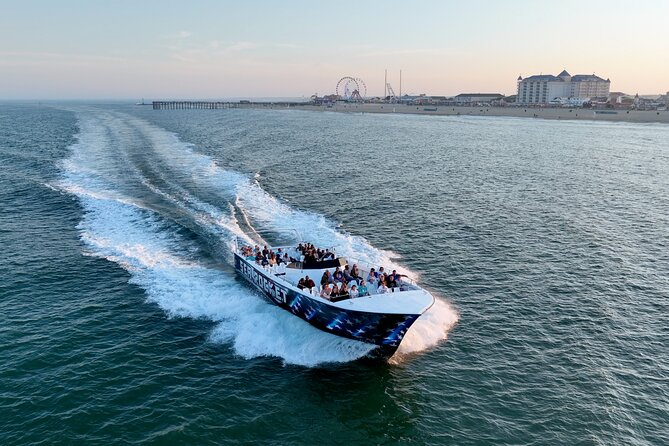 45-Minute Sea Rocket Speed Boat & Dolphin Cruise in Ocean City MD - Dolphins are the bonus, not the product