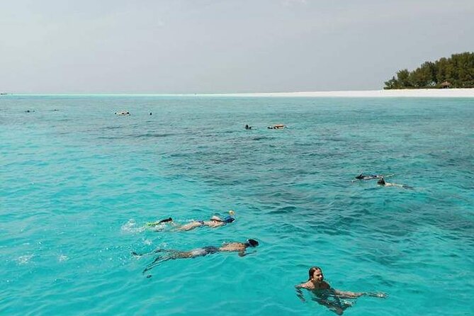 5-Hour Snorkeling, Swimming with Dolphins and Sea Turtles Aquarium - An early start from Nungwi