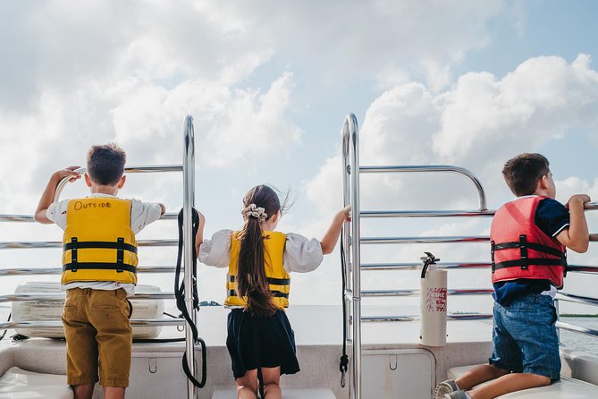 90-Minute Dolphin and Nature Tour of Hilton Head - How dolphin sightings work