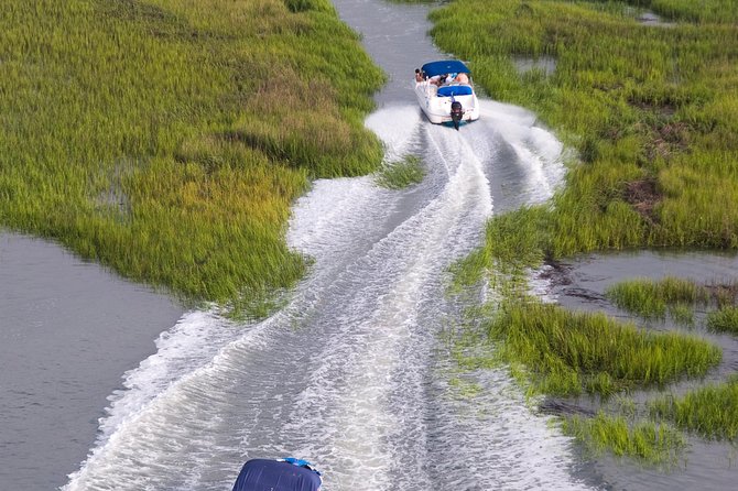 90-Minute Dolphin and Nature Tour of Hilton Head - Captains who make the ride more than a wildlife search
