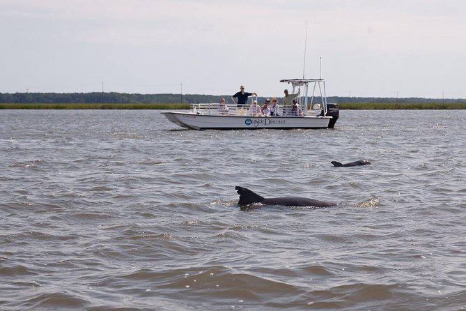 90-Minute Dolphin and Nature Tour of Hilton Head - Who will enjoy this Hilton Head cruise most