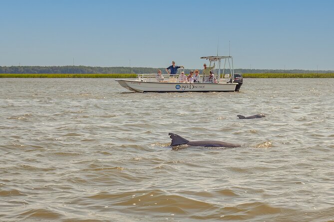 90 Minute Hilton Head Dolphin and Nature Cruise - Leaving Shelter Cove for Hilton Head’s salt marshes