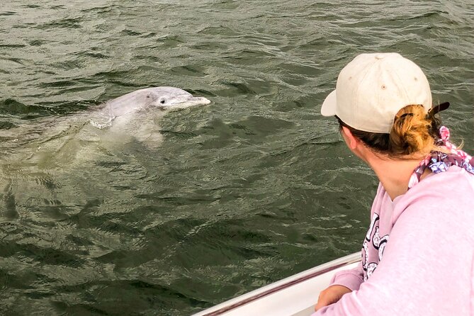 90 Minute Hilton Head Dolphin and Nature Cruise - The captains shape the whole outing