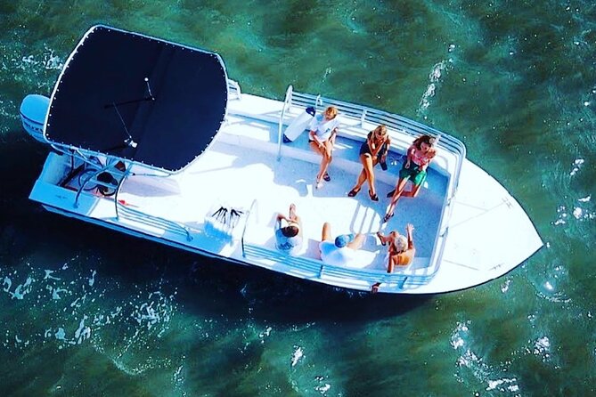90 Minute Hilton Head Dolphin Tour - Key points to know before you book