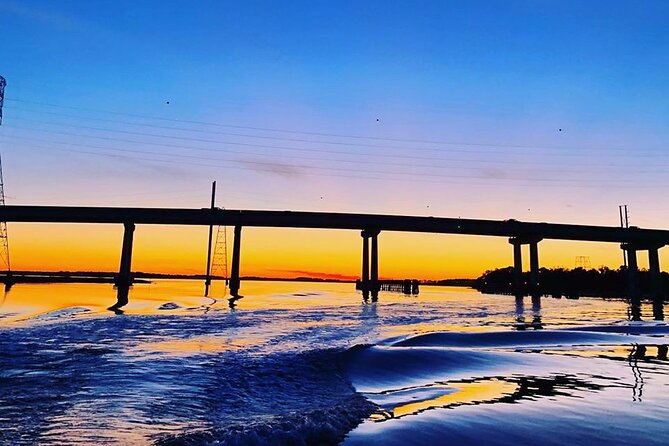 90 Minute Hilton Head Dolphin Tour - The first 90 minutes: a flexible search for dolphins