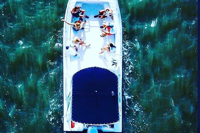 90 Minute Hilton Head Dolphin Tour - Timing, weather, and practical planning