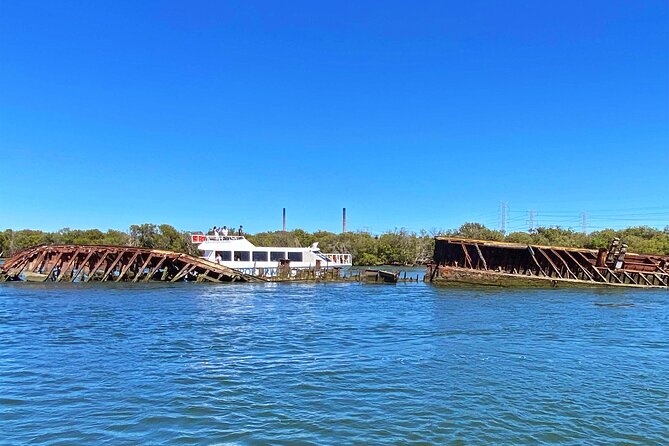 90 Minute Port River Dolphin & Ships Graveyard Cruise - Key points to know before booking