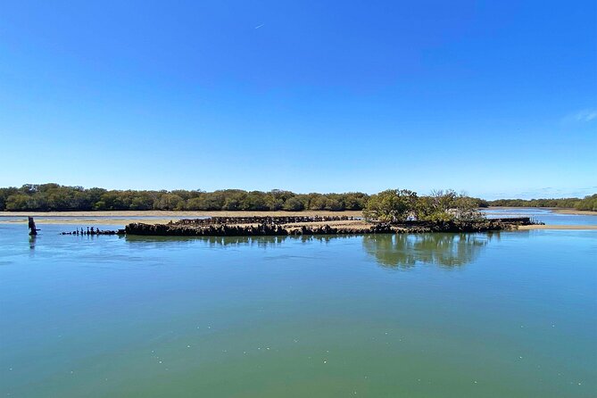 90 Minute Port River Dolphin & Ships Graveyard Cruise - Why the Port River makes a good half-day outing