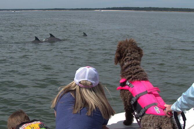90-Minute Private Dolphin Tour in Hilton Head Island - The 90-Minute Route Through Marsh and Open Water