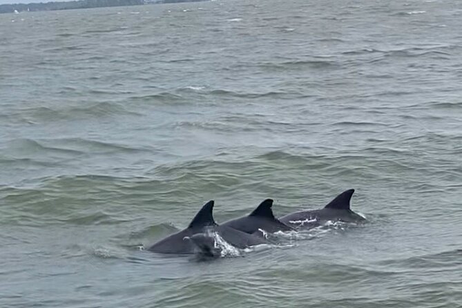 90-Minute Private Dolphin Tour in Hilton Head Island - Booking Details and Cancellation Rules