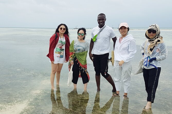 A Half Day Private Dolphins And Snorkeling Tour To Mnemba Island - A short Zanzibar morning built around the sea