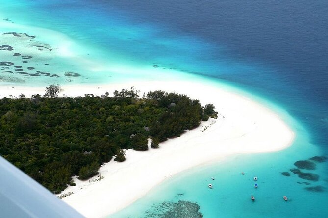 A Half Day Private Dolphins And Snorkeling Tour To Mnemba Island - Who will enjoy this three-hour tour