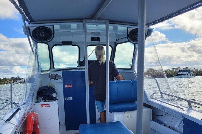 AAA Noosa National Park Tour and Dolphin Safari Whalesongsnoosa - Turtles, fish, jellyfish, and seasonal whales
