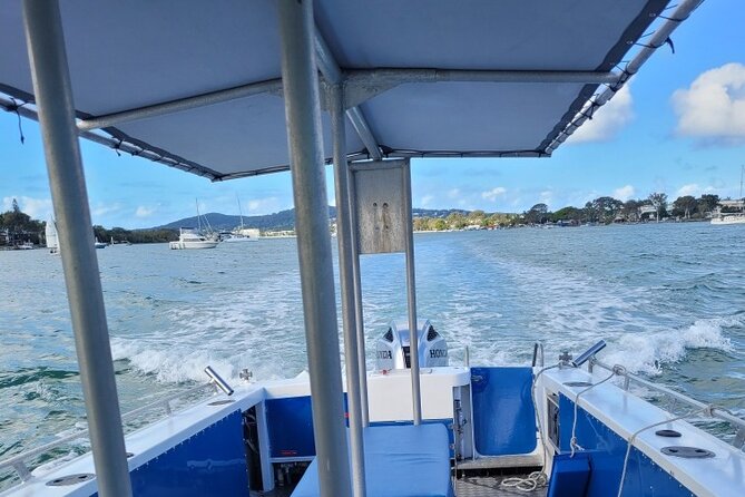 AAA Noosa National Park Tour and Dolphin Safari Whalesongsnoosa - Weather, group size, and practical comfort