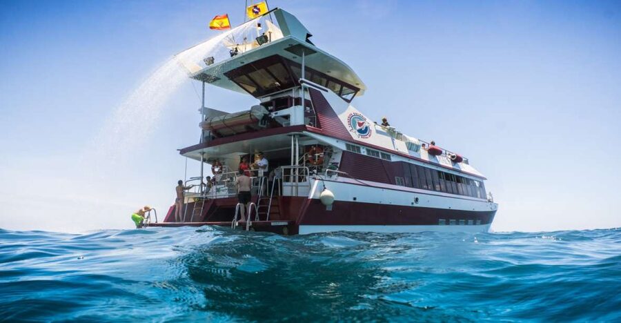 Adeje: Whale and Dolphin Watching Cruise with Lunch and Swim - Why Tenerife’s southwest coast is made for whale watching